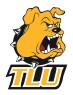 DT Image